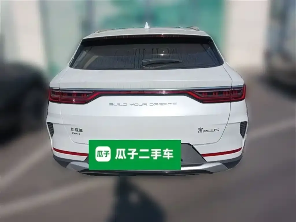 BYD PLUS New Energy 2022 из CN, фото 10