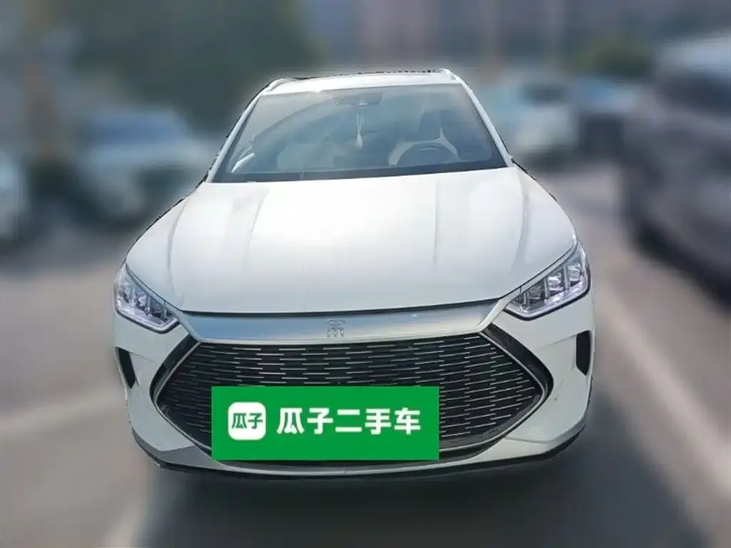 BYD PLUS New Energy 2022 из CN, фото 2