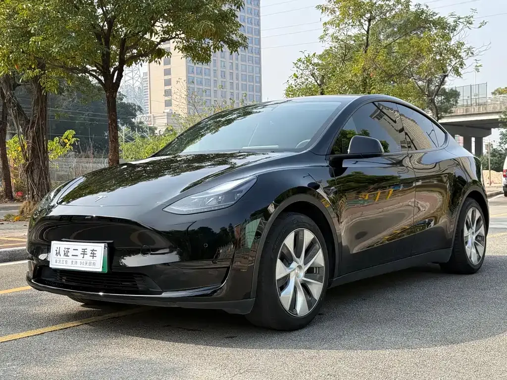 Tesla Model Y — фото 1