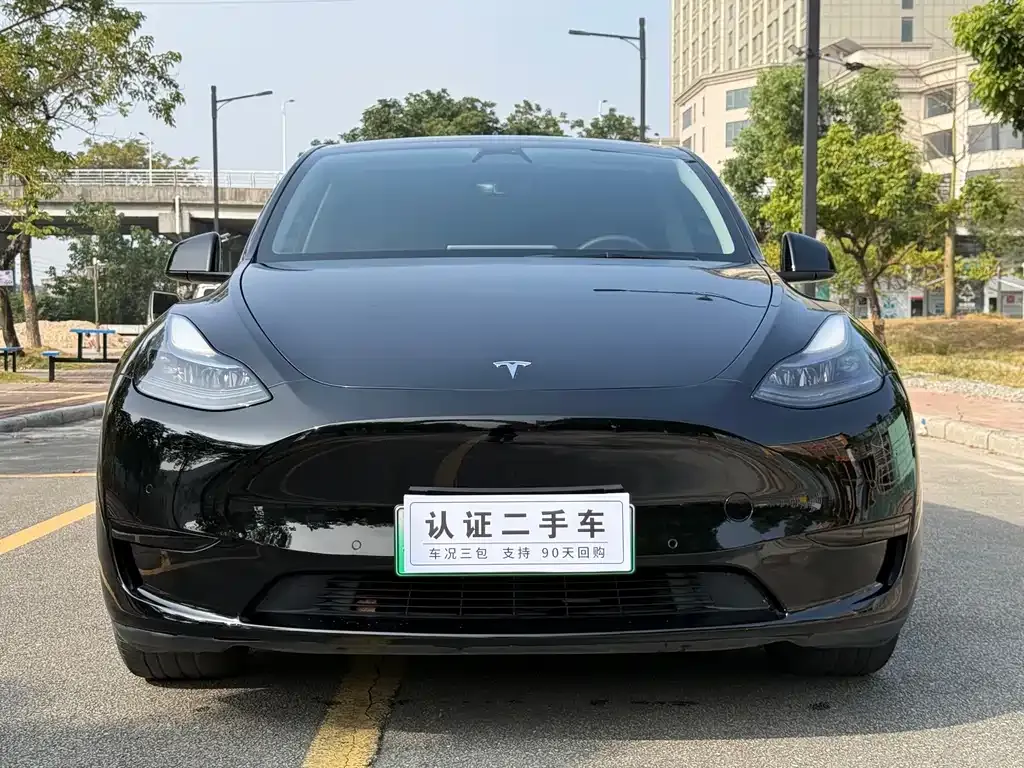 Tesla Model Y — фото 5