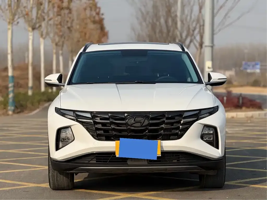 Hyundai Tucson 2023 из CN, фото 2