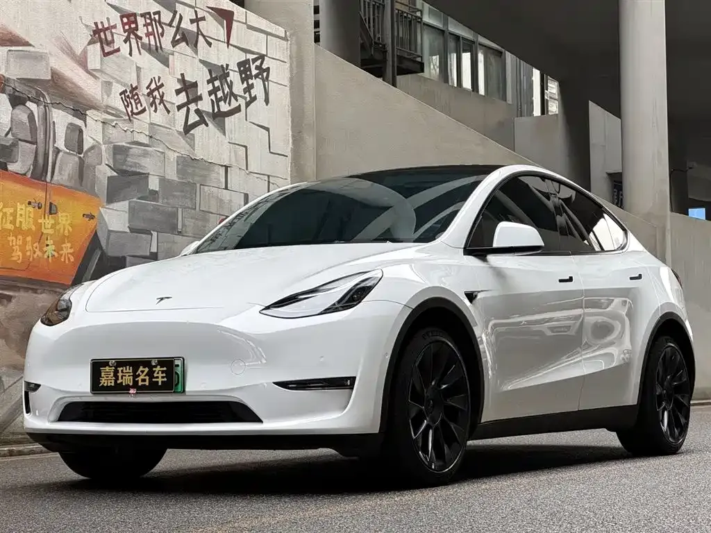 Tesla Model Y — фото 1