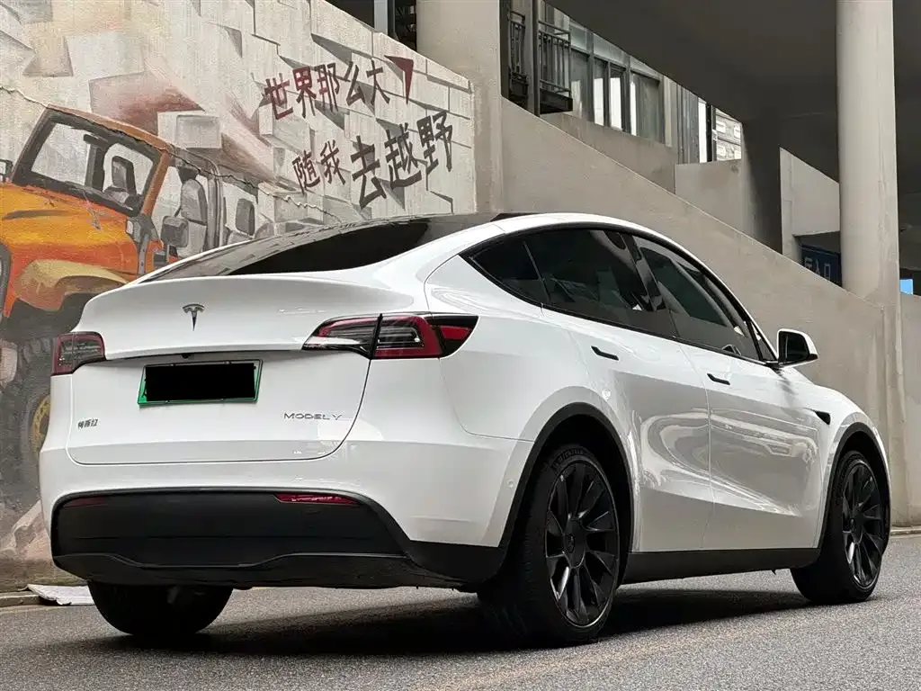 Tesla Model Y — фото 9