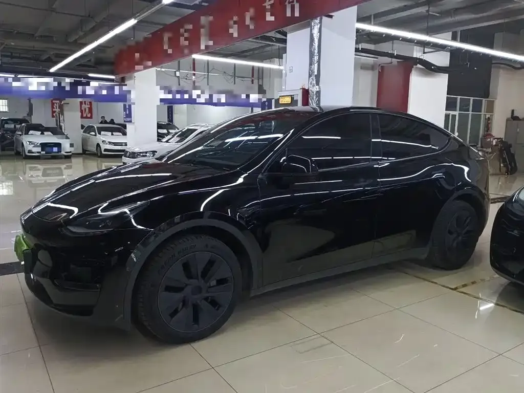 Tesla Model Y — фото 10