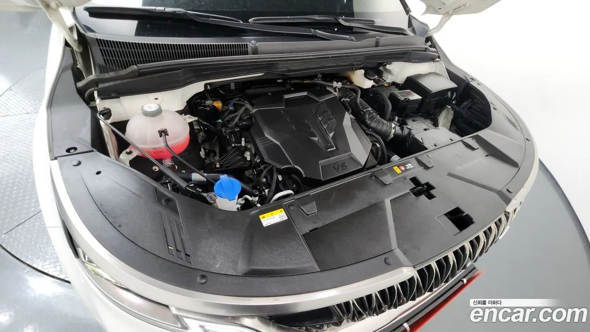 [object Object] Canival 2023 из KR, фото 6