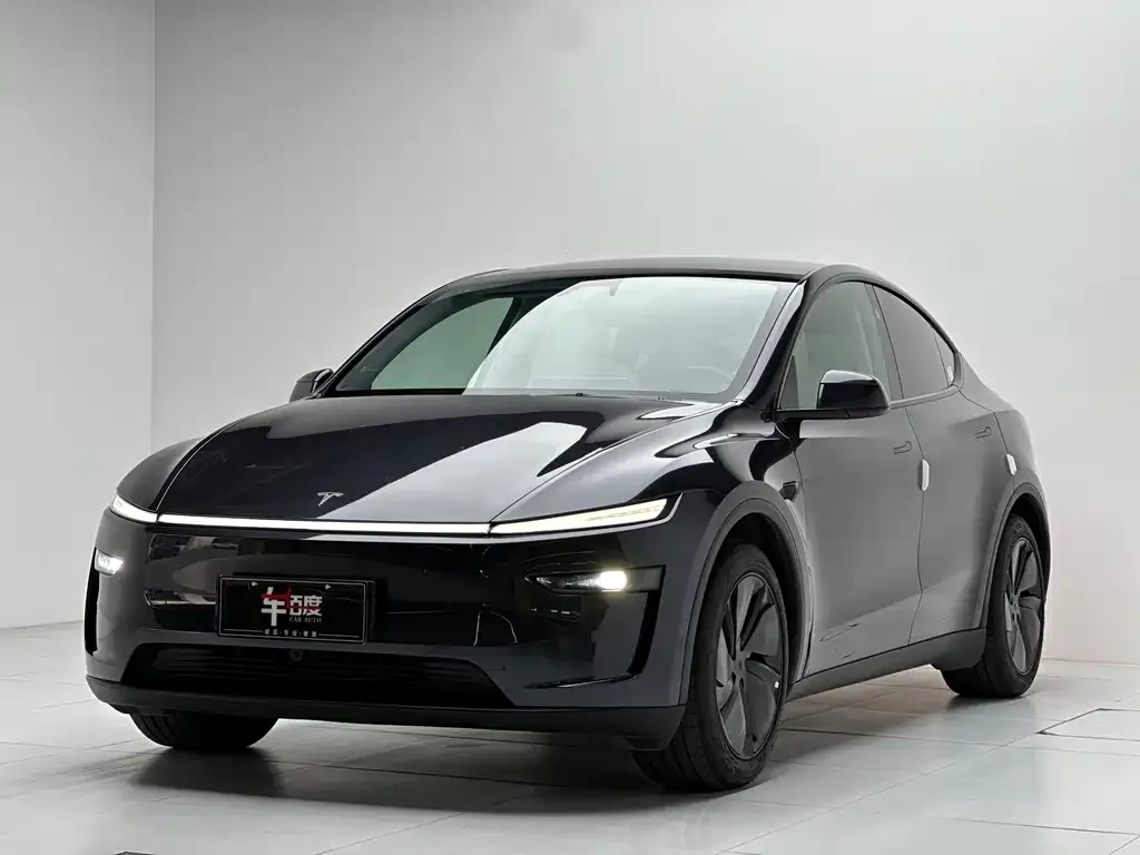 Tesla Model Y 2025 из CN, фото 1