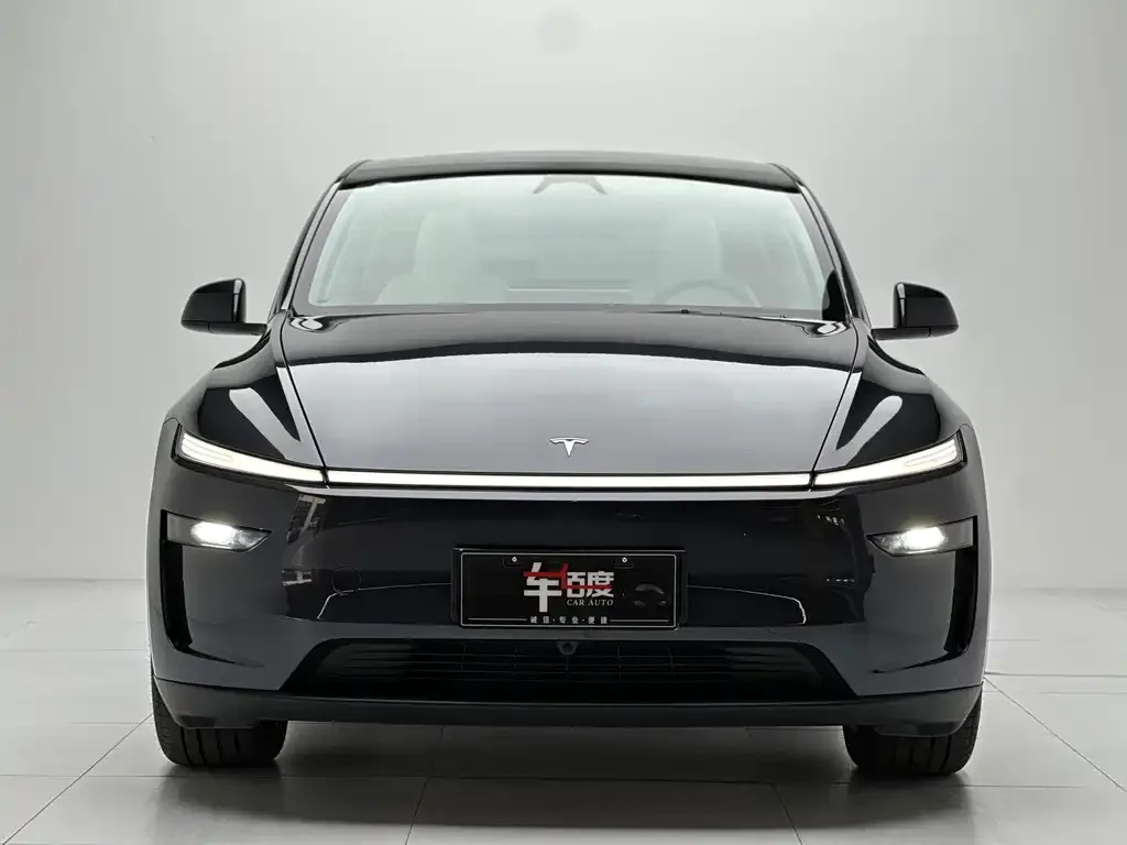 Tesla Model Y 2025 из CN, фото 2