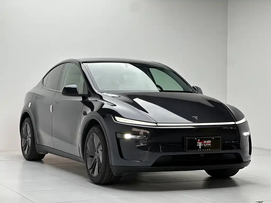 Tesla Model Y 2025 из CN, фото 5