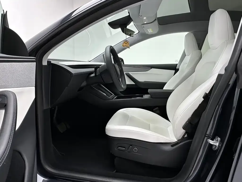 Tesla Model Y 2025 из CN, фото 9