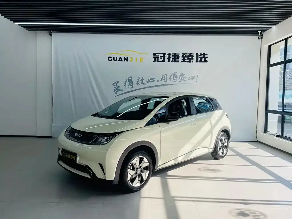 BYD Dolphin 2025 из CN, фото 1