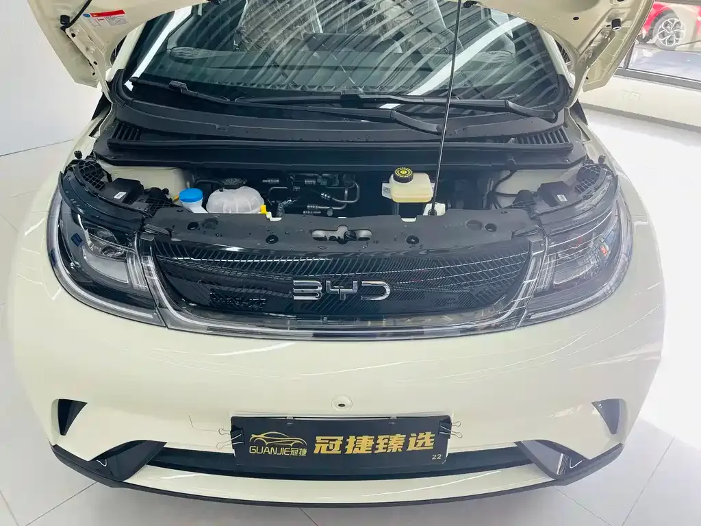 BYD Dolphin 2025 из CN, фото 10