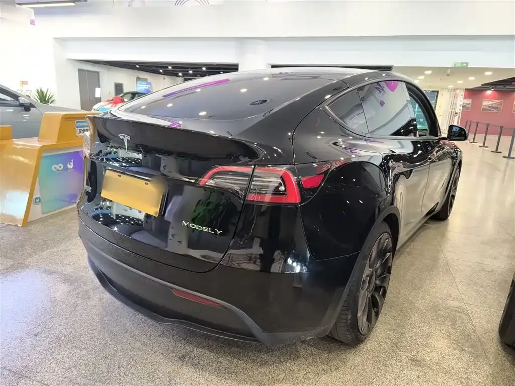 Tesla Model Y — фото 10