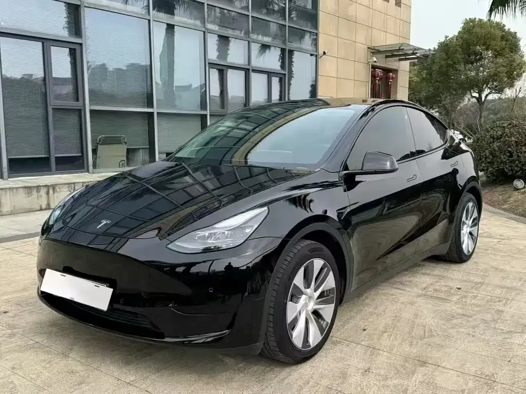 Tesla Model Y 2021 из CN, фото 1