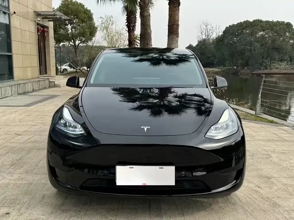 Tesla Model Y 2021 из CN, фото 2
