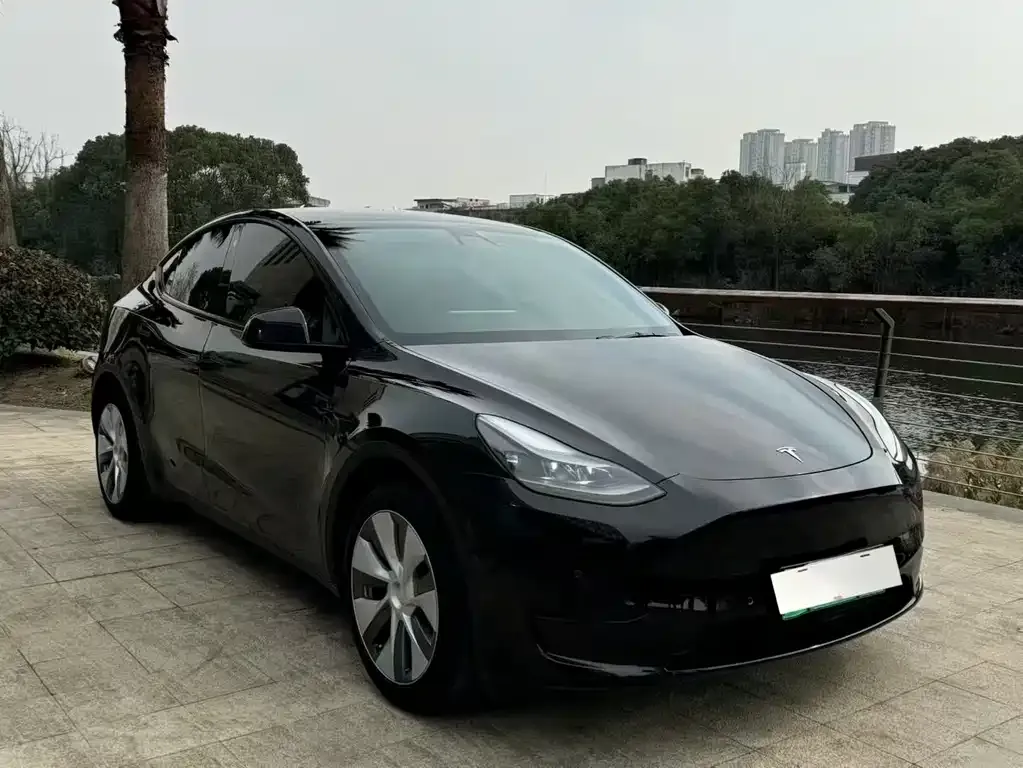 Tesla Model Y 2021 из CN, фото 3