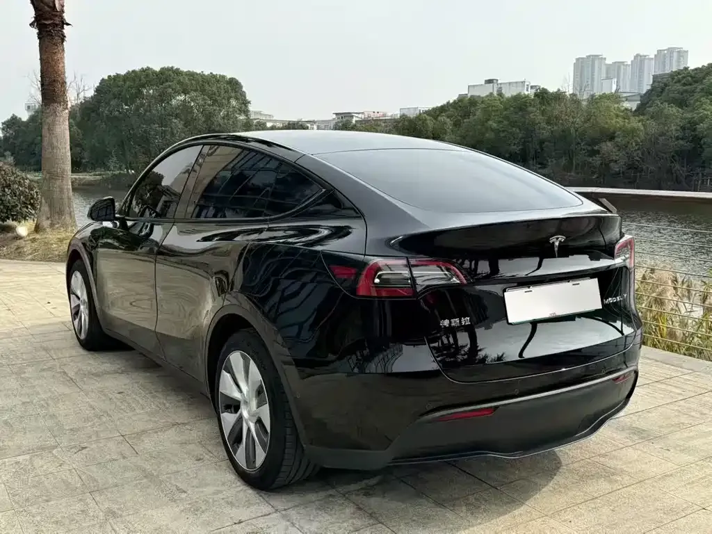 Tesla Model Y 2021 из CN, фото 4