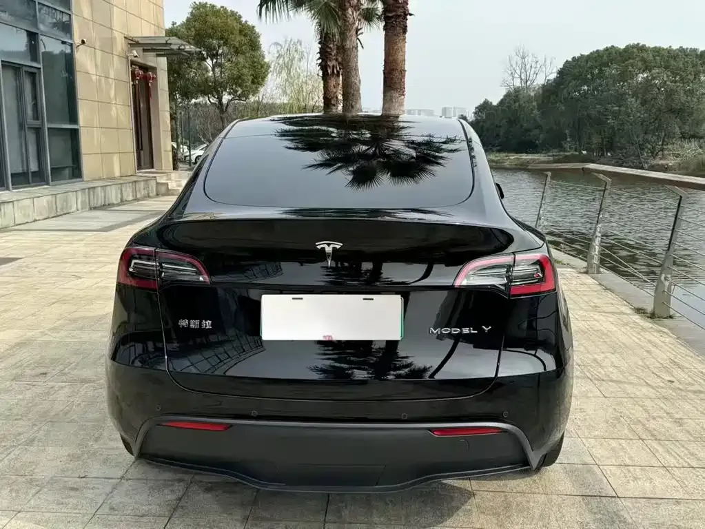 Tesla Model Y 2021 из CN, фото 5