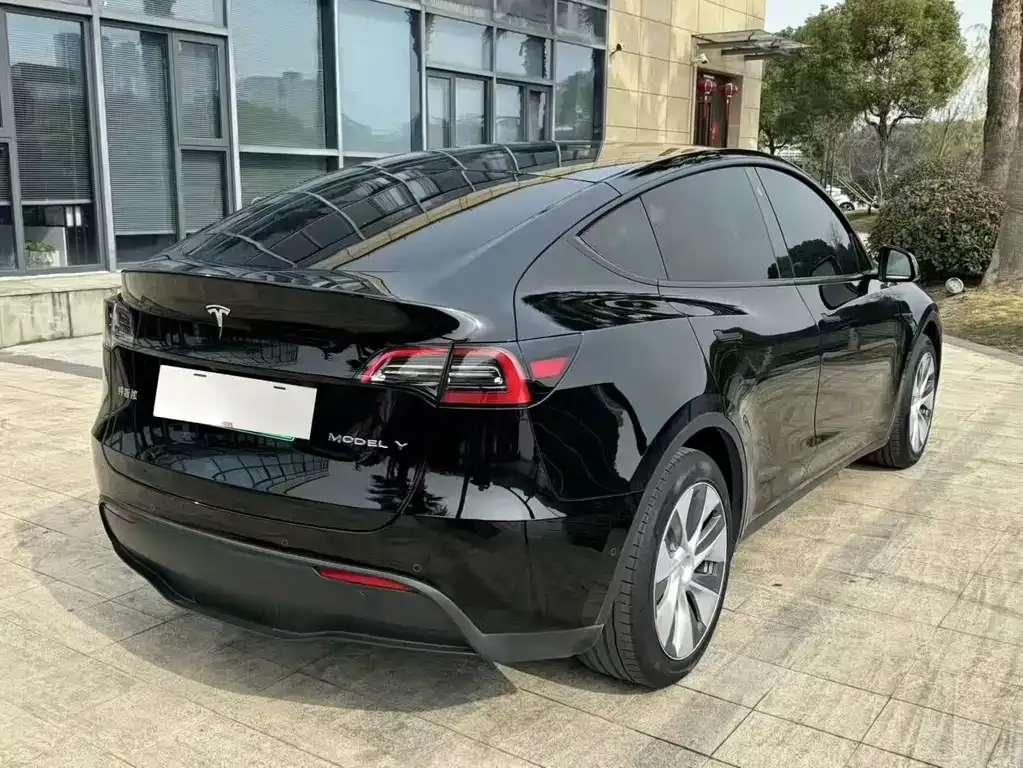 Tesla Model Y 2021 из CN, фото 6