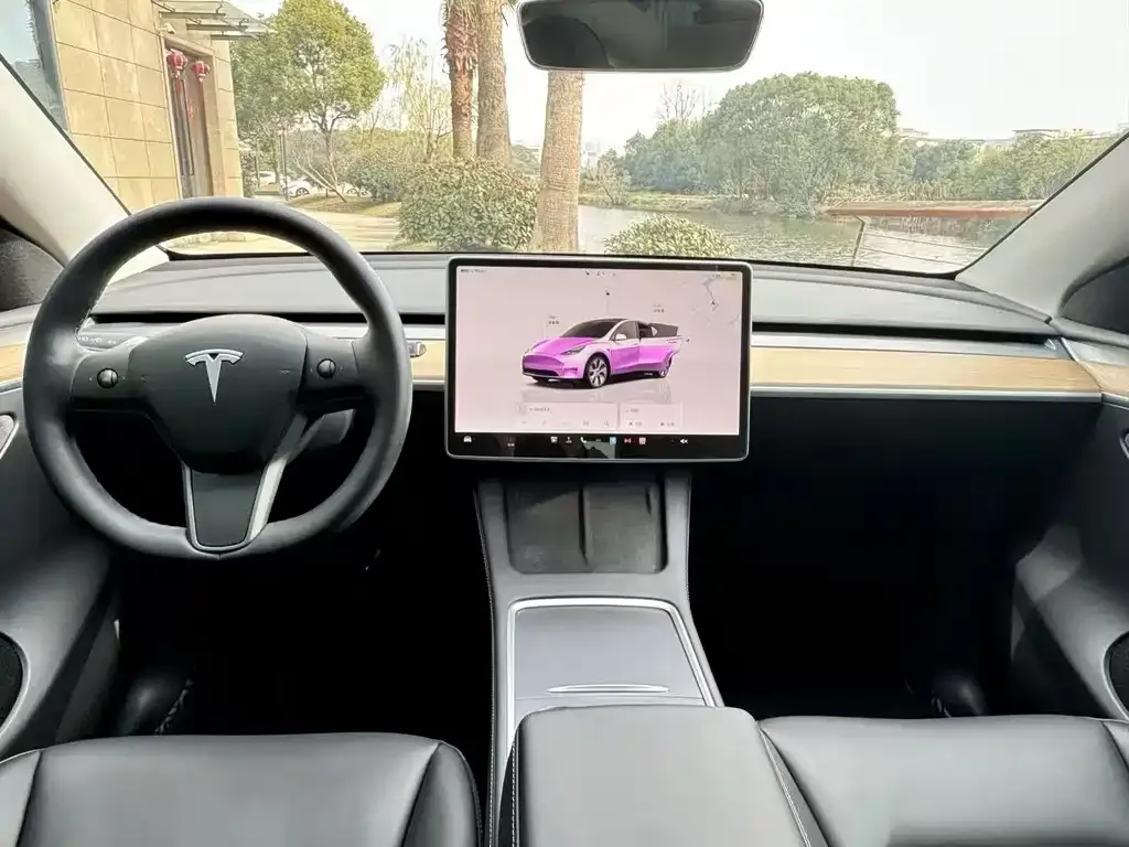 Tesla Model Y 2021 из CN, фото 9