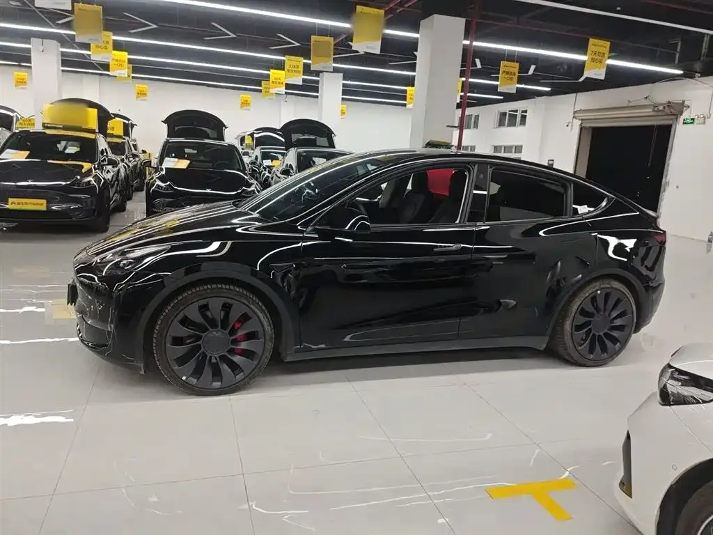Tesla Model Y — фото 3