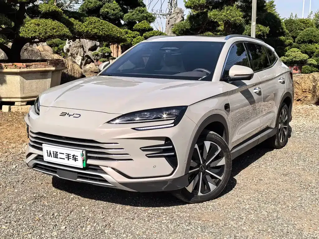 BYD PLUS New Energy 2025 из CN, фото 1