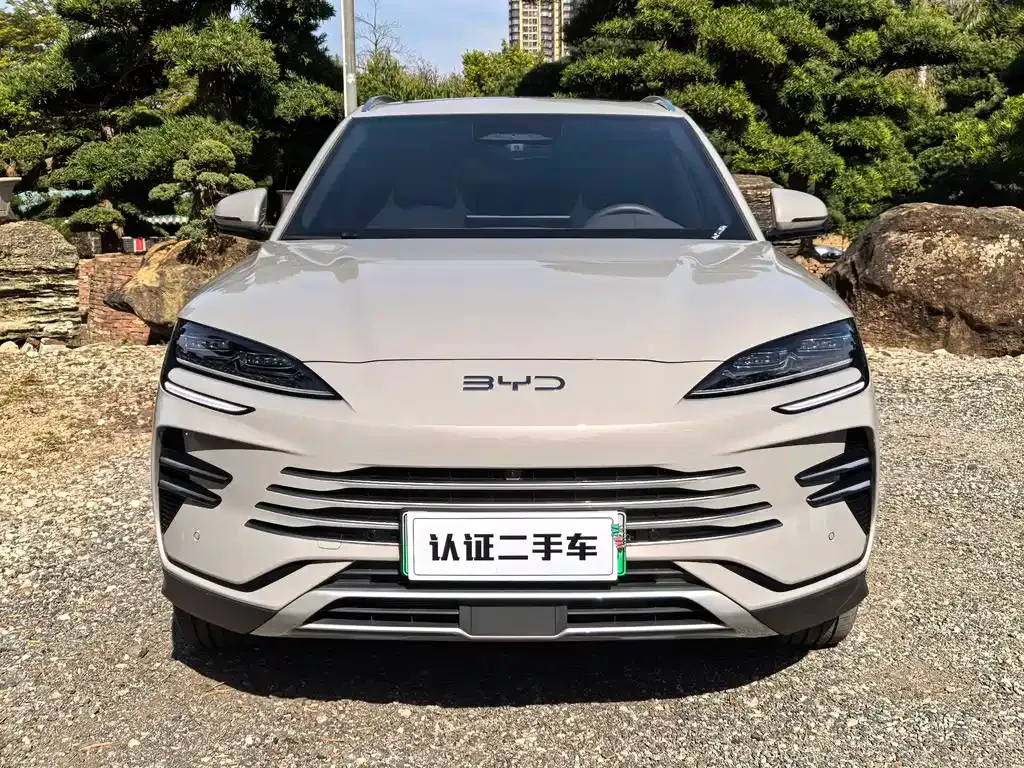BYD PLUS New Energy 2025 из CN, фото 2