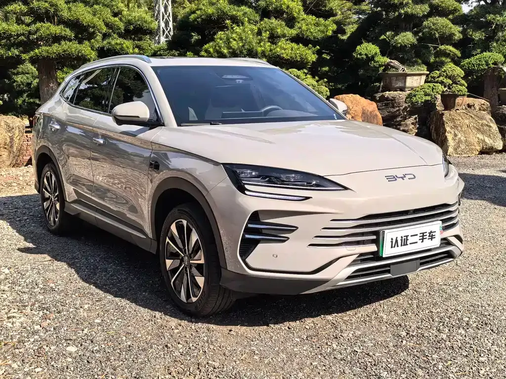 BYD PLUS New Energy 2025 из CN, фото 3