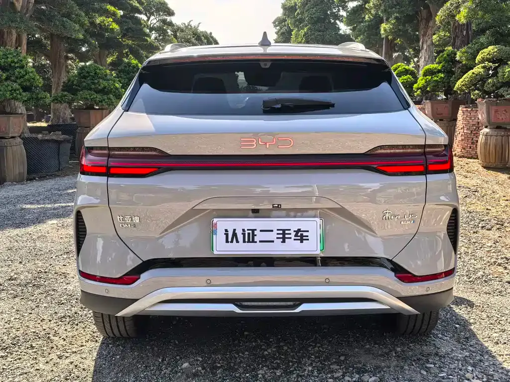 BYD PLUS New Energy 2025 из CN, фото 5