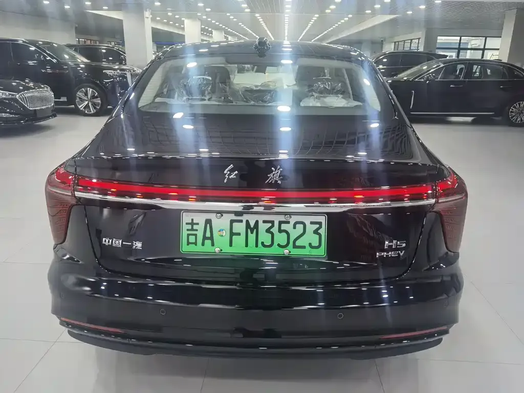 Hongqi H5 PHEV 2025 из CN, фото 5