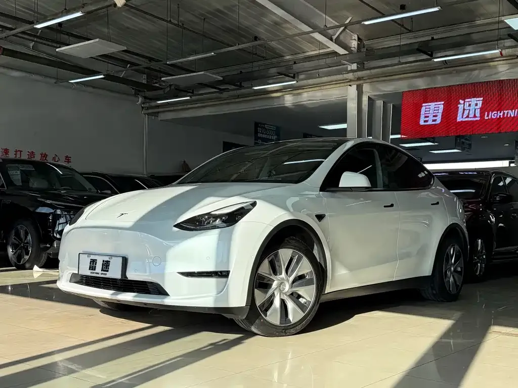 Tesla Model Y — фото 1