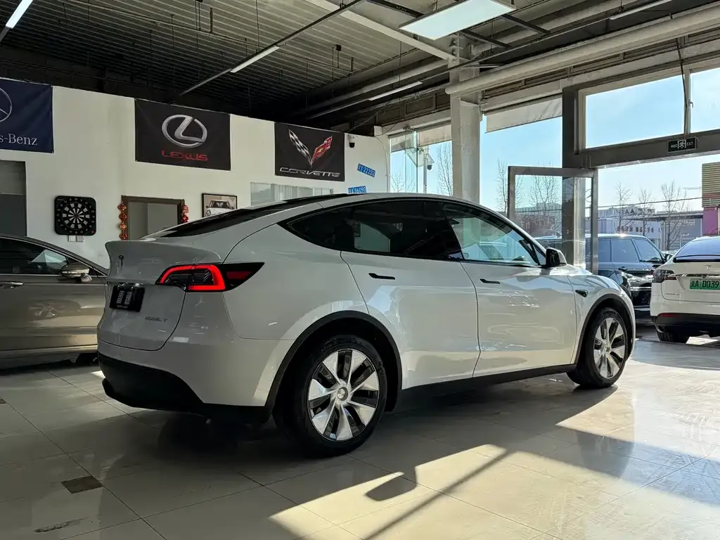 Tesla Model Y — фото 8