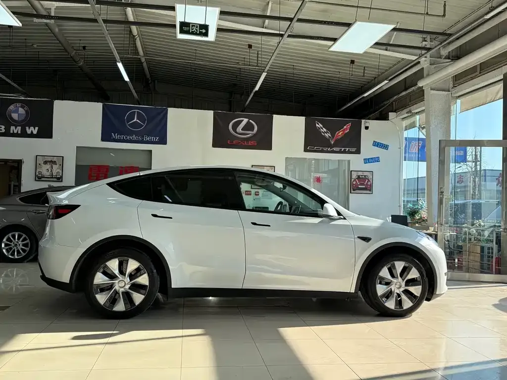 Tesla Model Y — фото 10