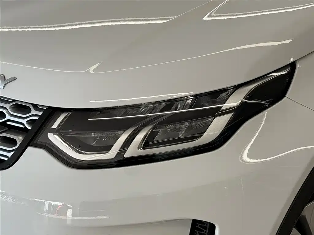Land Rover Discovery Sport 2021 из CN, фото 3