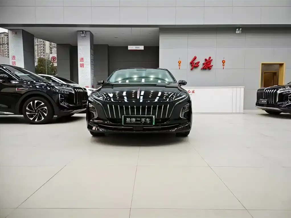 Hongqi E-QM5 — фото 7