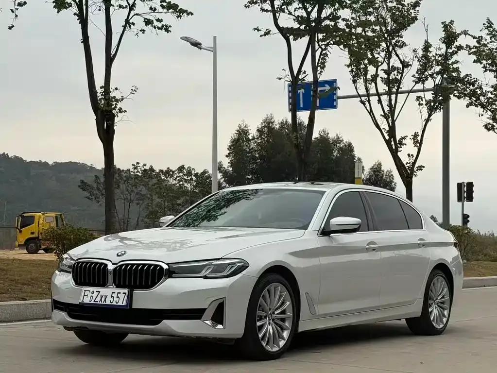 BMW 5 Series 2021 из CN, фото 1