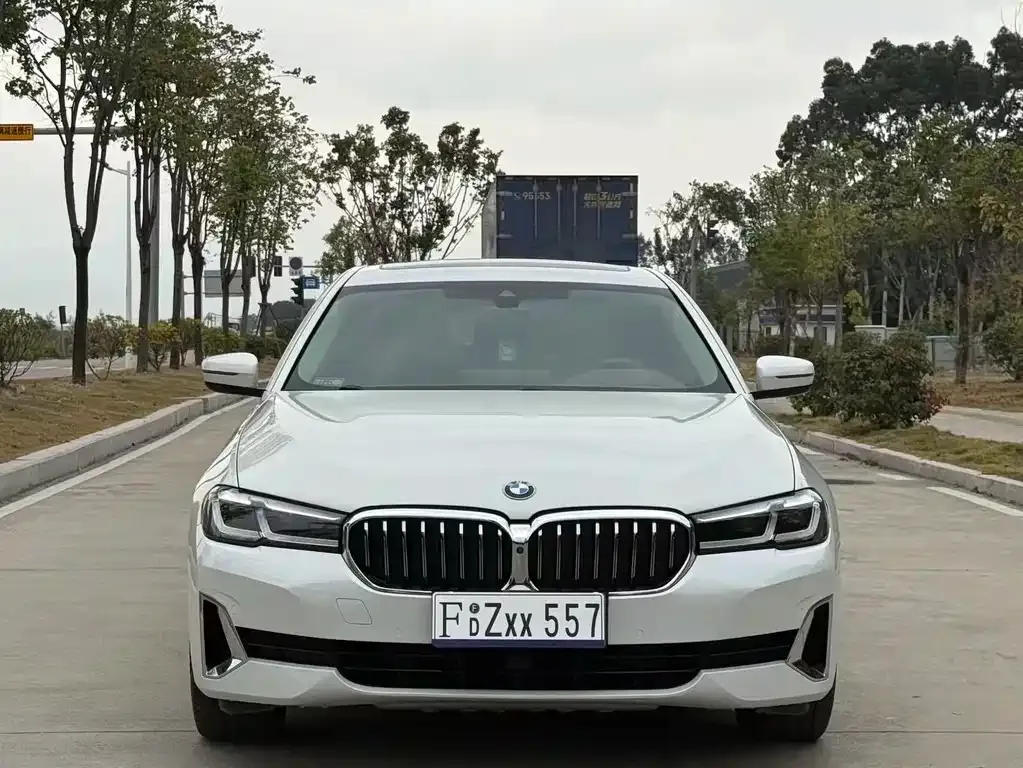 BMW 5 Series 2021 из CN, фото 5
