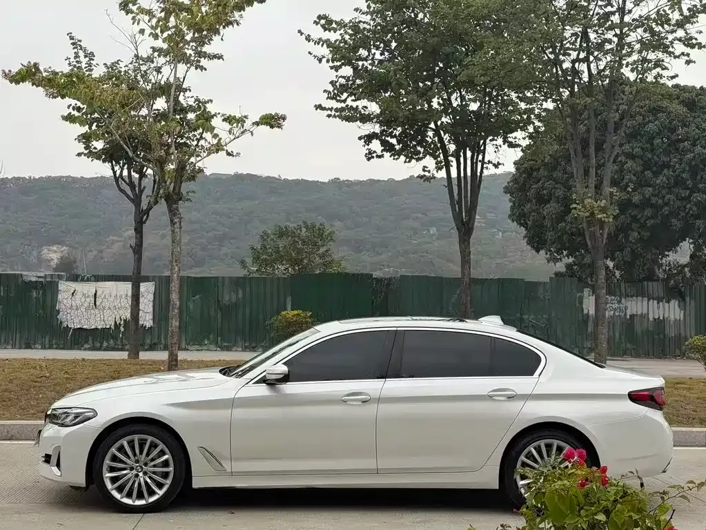 BMW 5 Series 2021 из CN, фото 7