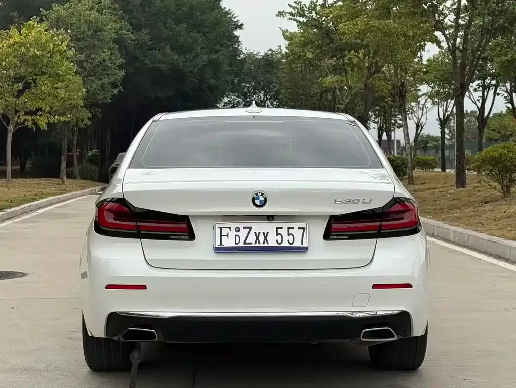 BMW 5 Series 2021 из CN, фото 8