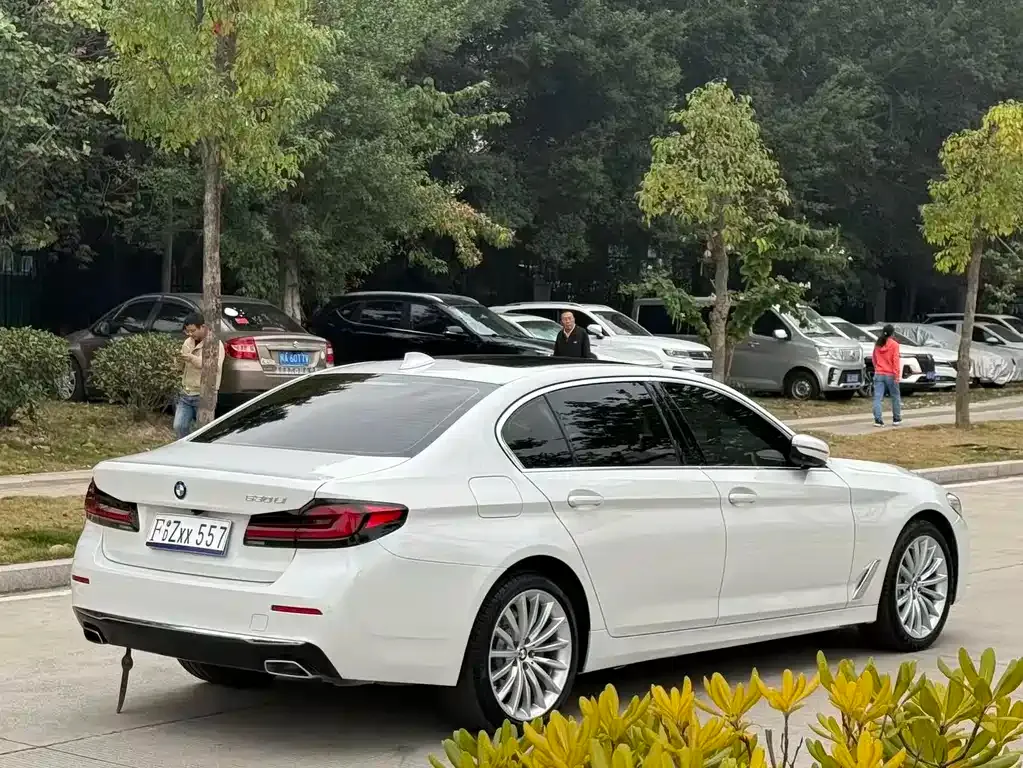 BMW 5 Series 2021 из CN, фото 6