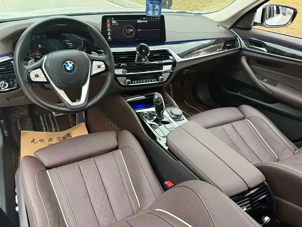 BMW 5 Series 2021 из CN, фото 4