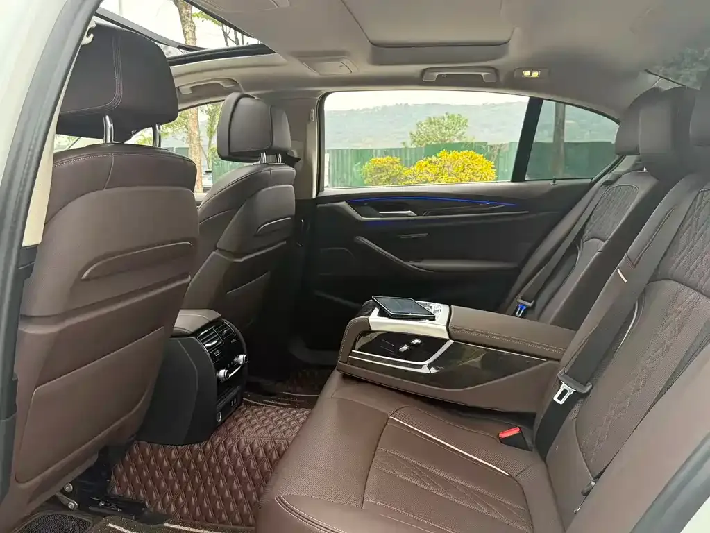 BMW 5 Series 2021 из CN, фото 9