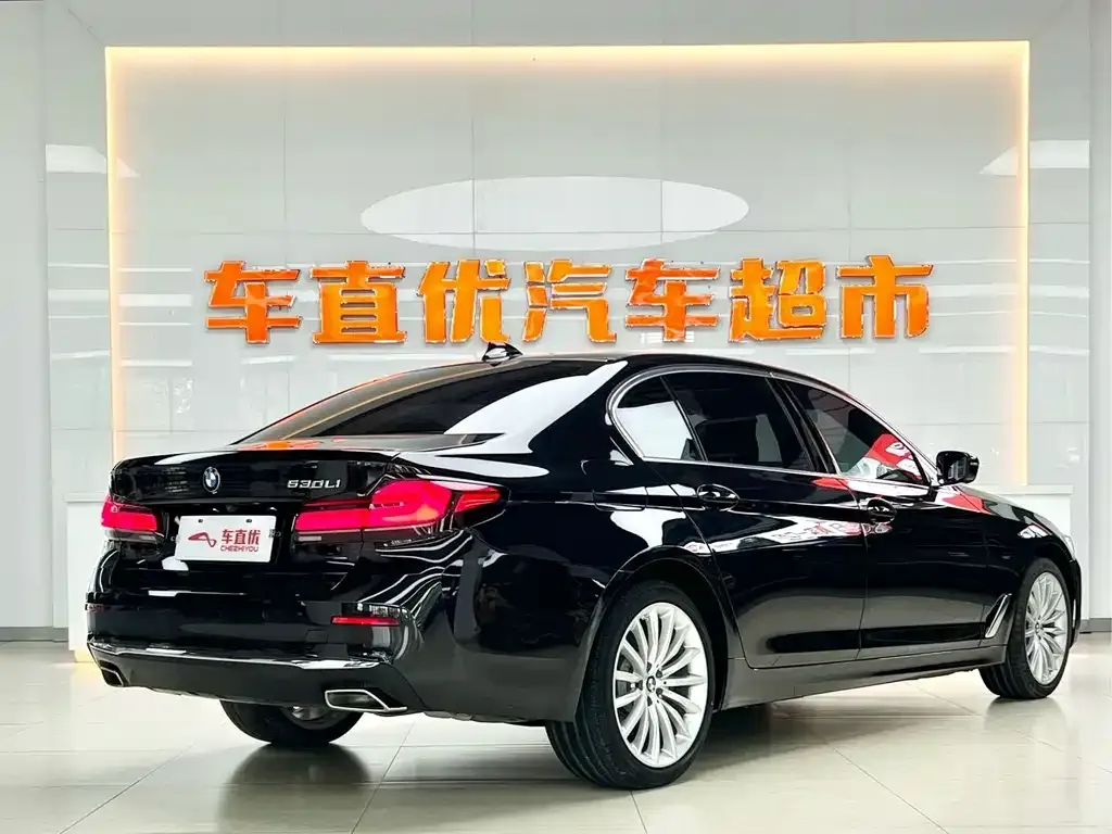 BMW 5 Series 2021 из CN, фото 6