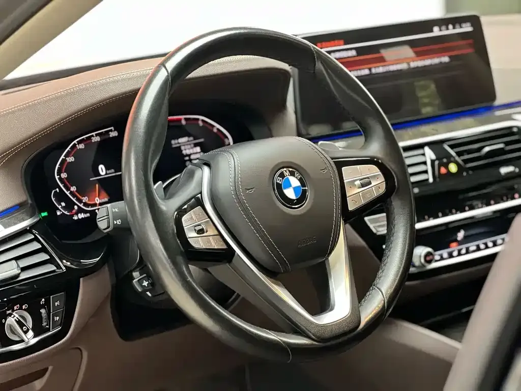 BMW 5 Series 2021 из CN, фото 8