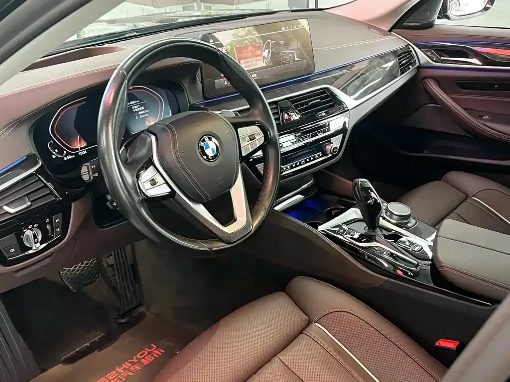 BMW 5 Series 2021 из CN, фото 7