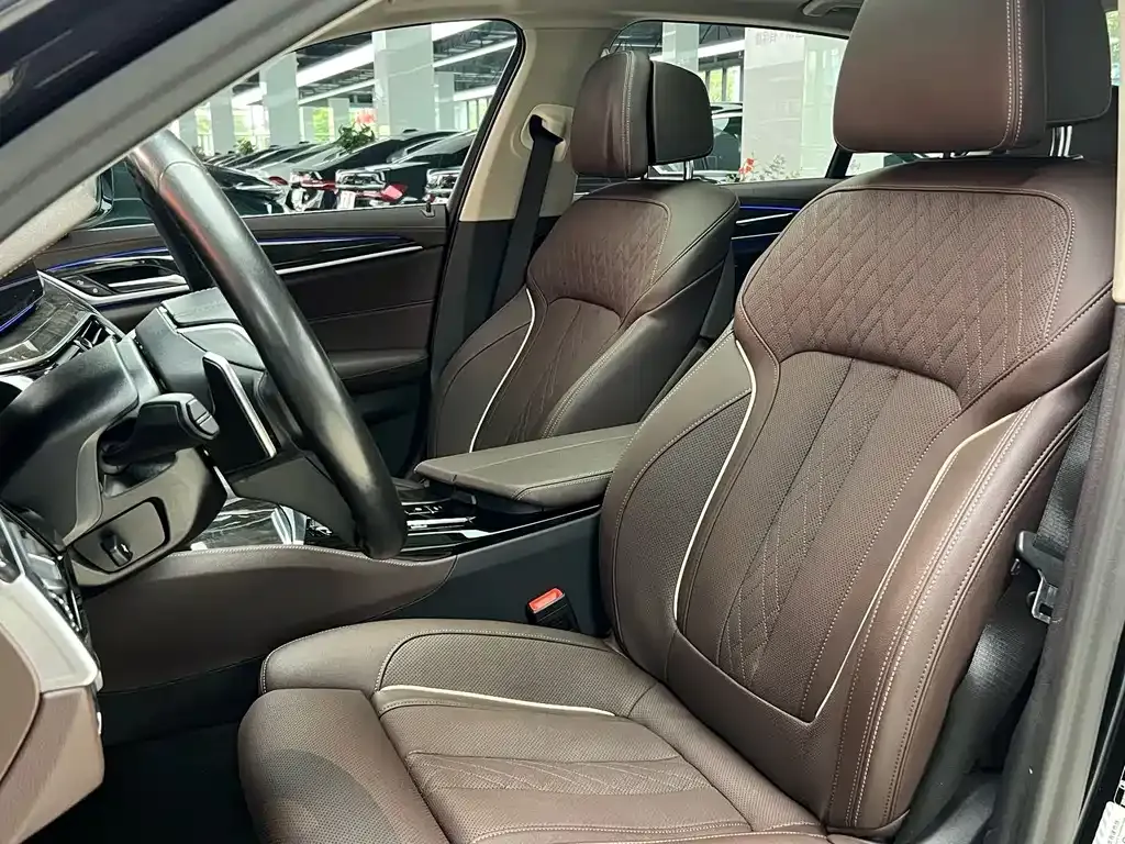 BMW 5 Series 2021 из CN, фото 10
