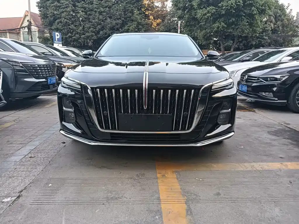 Hongqi H5 2024 из CN, фото 2