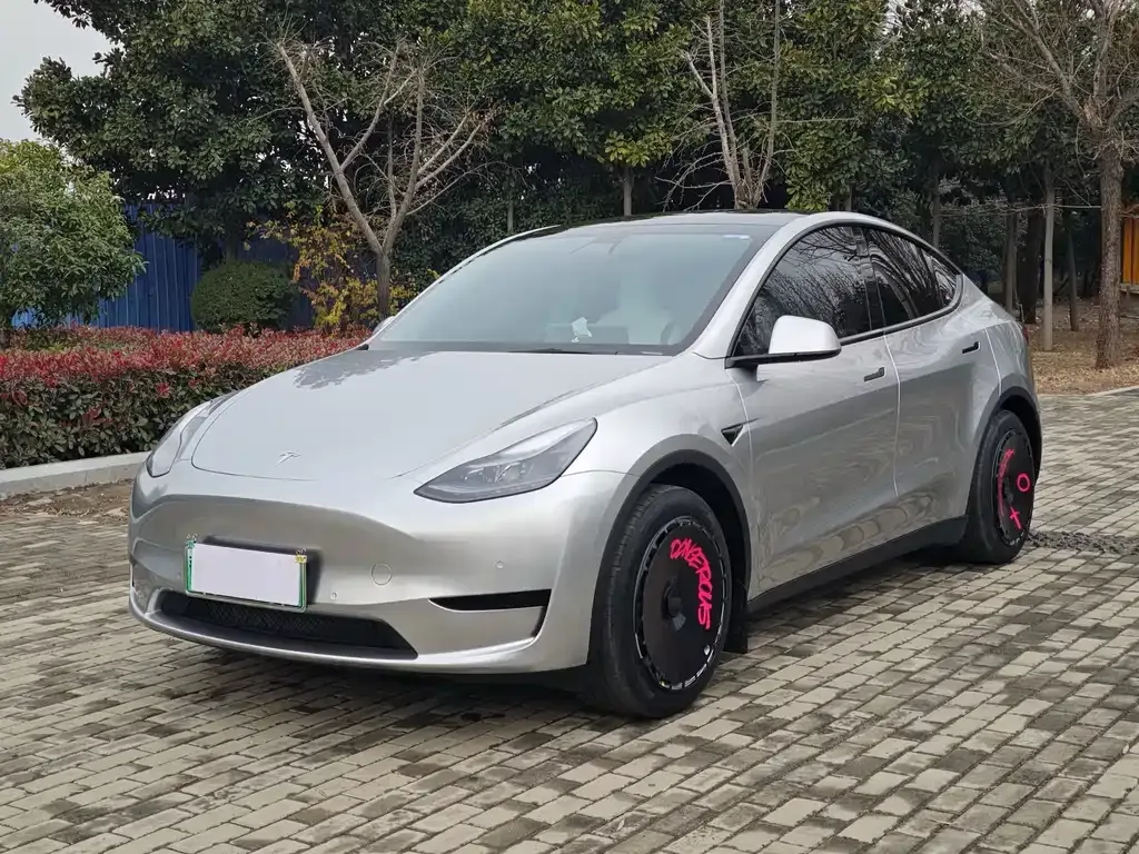 Tesla Model Y — фото 9