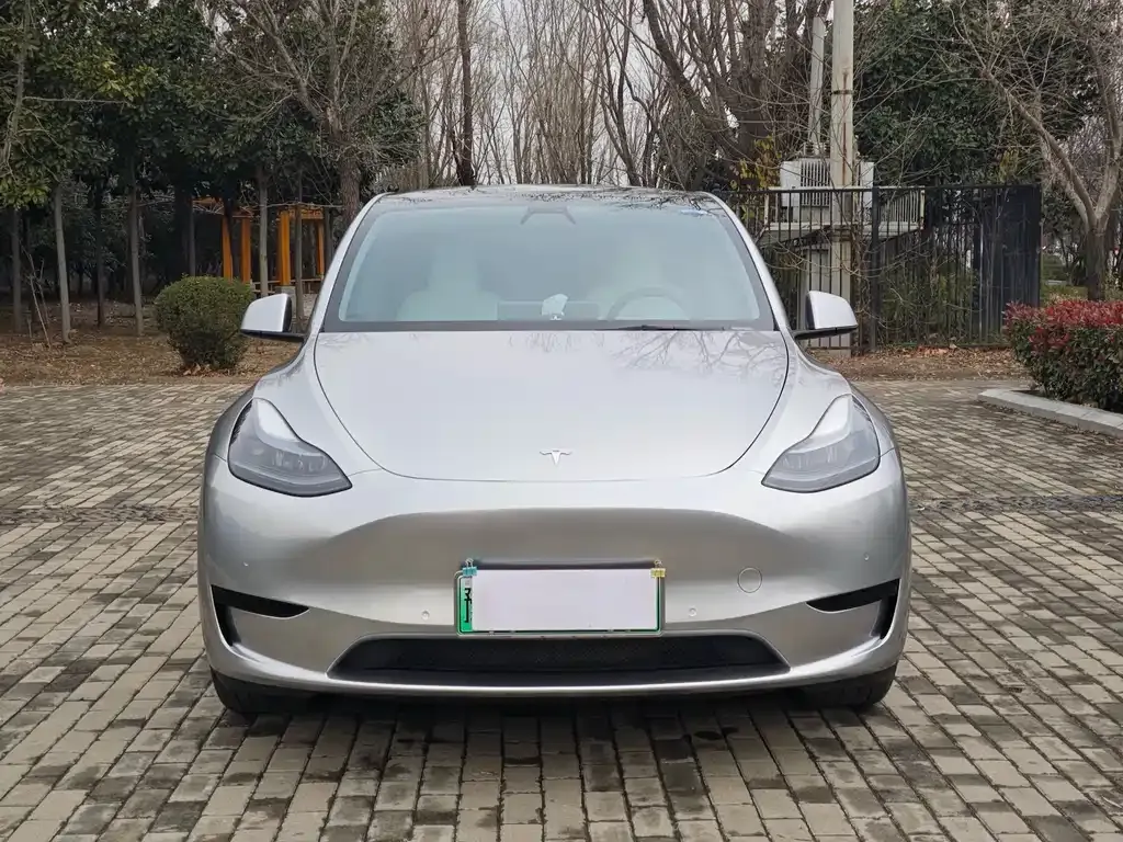Tesla Model Y — фото 7