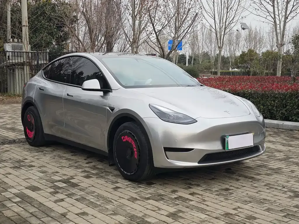 Tesla Model Y — фото 10