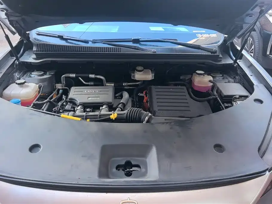 BYD Pro New Energy 2025 из CN, фото 6